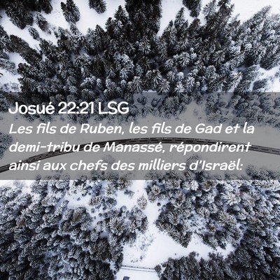 Picture 02 - Josué 22:21 LSG - Les fils de Ruben, les fils de Gad et la - Bible Verse Picture