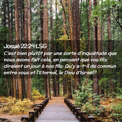 Picture 02 - Josué 22:24 LSG - C'est bien plutôt par une sorte d'inquiétude - Bible Verse Picture