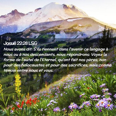 Picture 02 - Josué 22:28 LSG - Nous avons dit: S'ils tiennent dans l'avenir ce - Bible Verse Picture