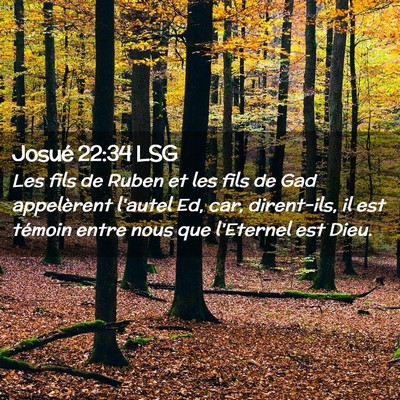 Picture 02 - Josué 22:34 LSG - Les fils de Ruben et les fils de Gad appelèrent - Bible Verse Picture