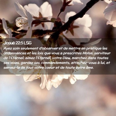 Picture 02 - Josué 22:5 LSG - Ayez soin seulement d'observer et de mettre en - Bible Verse Picture