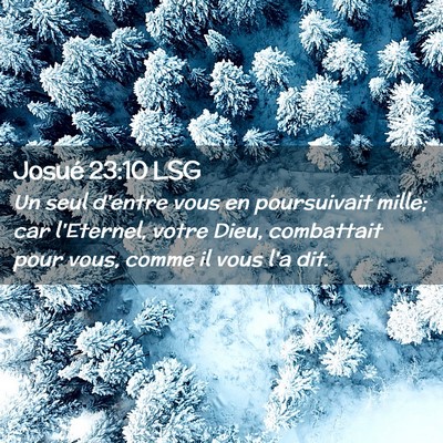 Picture 02 - Josué 23:10 LSG - Un seul d'entre vous en poursuivait mille; car - Bible Verse Picture