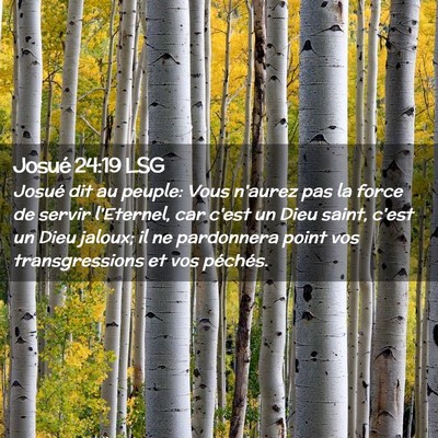 Picture 02 - Josué 24:19 LSG - Josué dit au peuple: Vous n'aurez pas la force - Bible Verse Picture