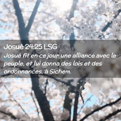 Picture 02 - Josué 24:25 LSG - Josué fit en ce jour une alliance avec le - Bible Verse Picture