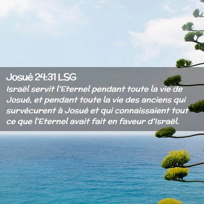 Picture 02 - Josué 24:31 LSG - Israël servit l'Eternel pendant toute la vie de - Bible Verse Picture