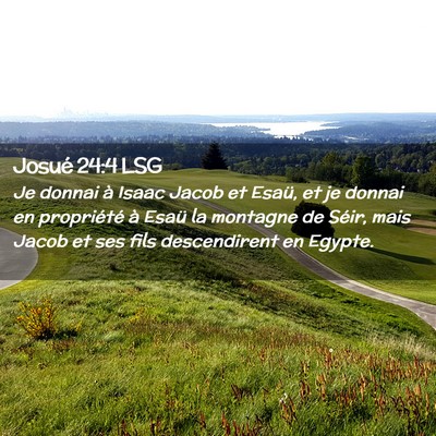 Picture 02 - Josué 24:4 LSG - Je donnai à Isaac Jacob et Esaü, et je donnai - Bible Verse Picture