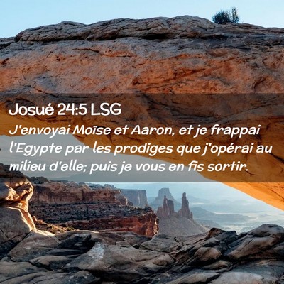 Picture 02 - Josué 24:5 LSG - J'envoyai Moïse et Aaron, et je frappai l'Egypte - Bible Verse Picture