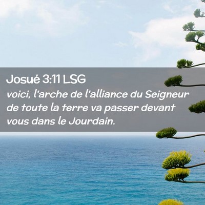 Picture 02 - Josué 3:11 LSG - voici, l'arche de l'alliance du Seigneur de toute - Bible Verse Picture