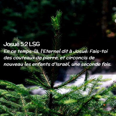 Picture 02 - Josué 5:2 LSG - En ce temps-là, l'Eternel dit à Josué: - Bible Verse Picture