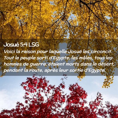 Picture 02 - Josué 5:4 LSG - Voici la raison pour laquelle Josué les - Bible Verse Picture