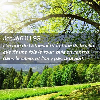 Picture 02 - Josué 6:11 LSG - L'arche de l'Eternel fit le tour de la ville, - Bible Verse Picture