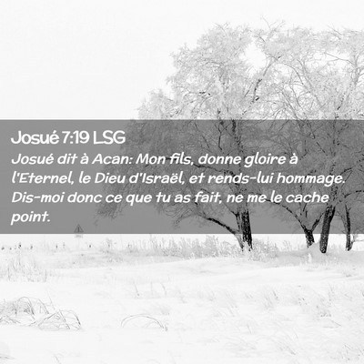 Picture 02 - Josué 7:19 LSG - Josué dit à Acan: Mon fils, donne gloire à - Bible Verse Picture