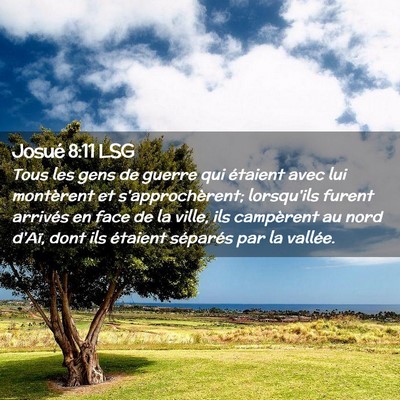 Picture 02 - Josué 8:11 LSG - Tous les gens de guerre qui étaient avec lui - Bible Verse Picture