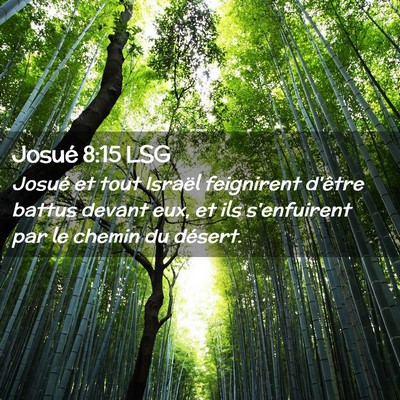 Picture 02 - Josué 8:15 LSG - Josué et tout Israël feignirent d'être battus - Bible Verse Picture