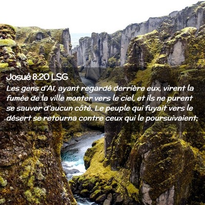 Picture 02 - Josué 8:20 LSG - Les gens d'Aï, ayant regardé derrière eux, - Bible Verse Picture