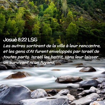 Picture 02 - Josué 8:22 LSG - Les autres sortirent de la ville à leur - Bible Verse Picture