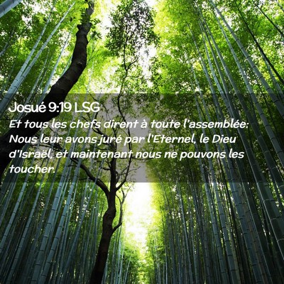 Picture 02 - Josué 9:19 LSG - Et tous les chefs dirent à toute l'assemblée: - Bible Verse Picture