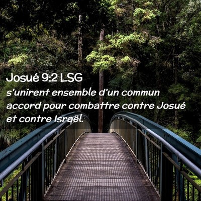 Picture 02 - Josué 9:2 LSG - s'unirent ensemble d'un commun accord pour - Bible Verse Picture