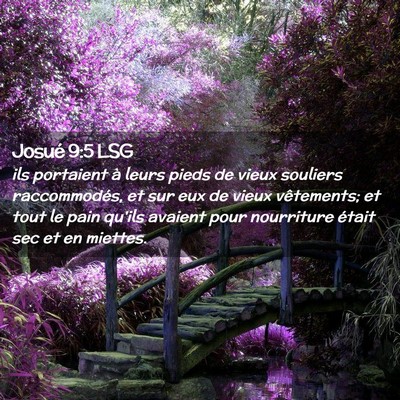 Picture 02 - Josué 9:5 LSG - ils portaient à leurs pieds de vieux souliers - Bible Verse Picture