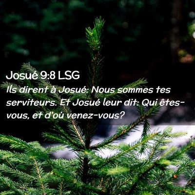 Picture 02 - Josué 9:8 LSG - Ils dirent à Josué: Nous sommes tes serviteurs. - Bible Verse Picture