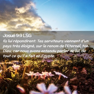 Picture 02 - Josué 9:9 LSG - Ils lui répondirent: Tes serviteurs viennent - Bible Verse Picture