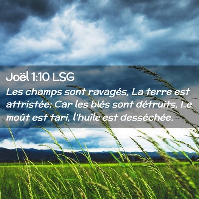 Picture 02 - Joël 1:10 LSG - Les champs sont ravagés, La terre est - Bible Verse Picture