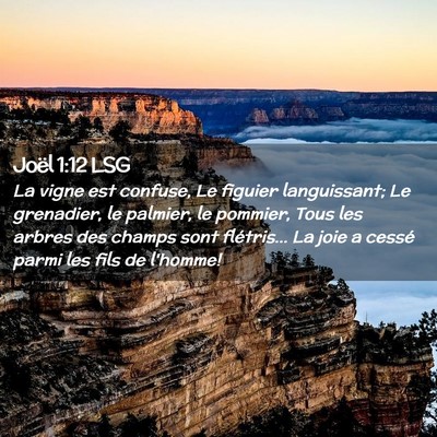 Picture 02 - Joël 1:12 LSG - La vigne est confuse, Le figuier languissant; Le - Bible Verse Picture
