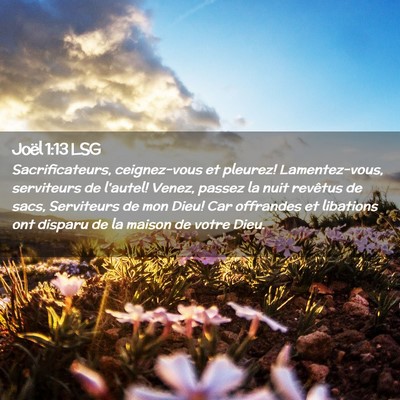 Picture 02 - Joël 1:13 LSG - Sacrificateurs, ceignez-vous et pleurez! - Bible Verse Picture