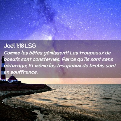 Picture 02 - Joël 1:18 LSG - Comme les bêtes gémissent! Les troupeaux de - Bible Verse Picture
