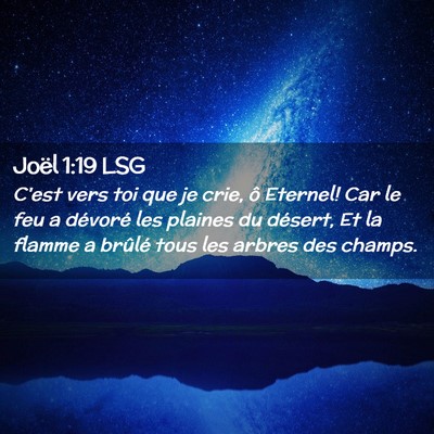Picture 02 - Joël 1:19 LSG - C'est vers toi que je crie, ô Eternel! Car le - Bible Verse Picture