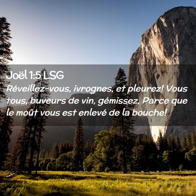 Picture 02 - Joël 1:5 LSG - Réveillez-vous, ivrognes, et pleurez! Vous tous, - Bible Verse Picture