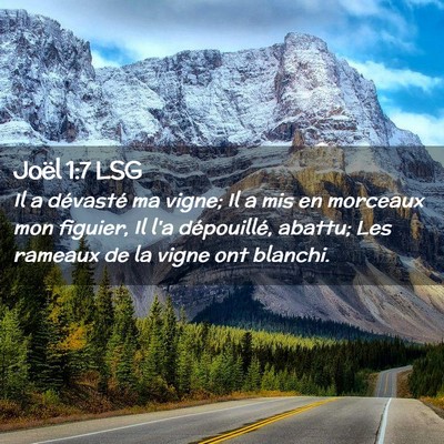 Picture 02 - Joël 1:7 LSG - Il a dévasté ma vigne; Il a mis en morceaux mon - Bible Verse Picture