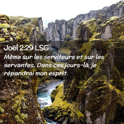 Picture 02 - Joël 2:29 LSG - Même sur les serviteurs et sur les servantes, - Bible Verse Picture
