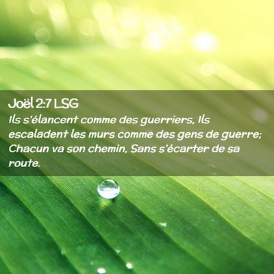 Picture 02 - Joël 2:7 LSG - Ils s'élancent comme des guerriers, Ils - Bible Verse Picture