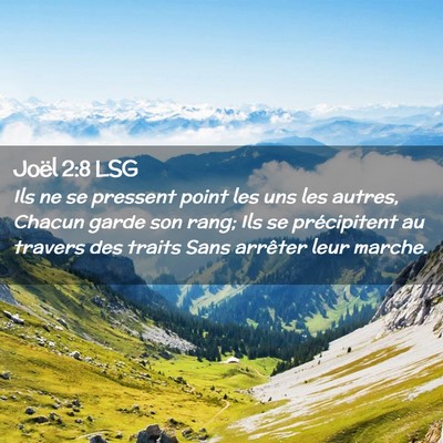 Picture 02 - Joël 2:8 LSG - Ils ne se pressent point les uns les autres, - Bible Verse Picture