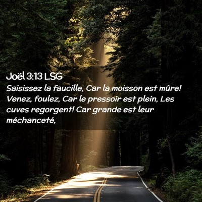 Picture 02 - Joël 3:13 LSG - Saisissez la faucille, Car la moisson est mûre! - Bible Verse Picture