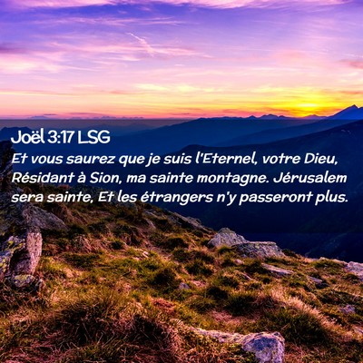 Picture 02 - Joël 3:17 LSG - Et vous saurez que je suis l'Eternel, votre Dieu, - Bible Verse Picture