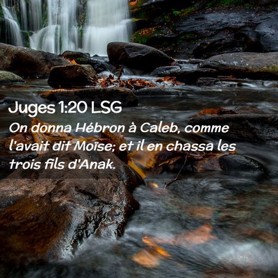 Picture 02 - Juges 1:20 LSG - On donna Hébron à Caleb, comme l'avait dit - Bible Verse Picture