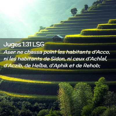 Picture 02 - Juges 1:31 LSG - Aser ne chassa point les habitants d'Acco, ni les - Bible Verse Picture