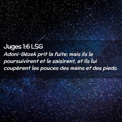 Picture 02 - Juges 1:6 LSG - Adoni-Bézek prit la fuite; mais ils le - Bible Verse Picture