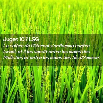 Picture 02 - Juges 10:7 LSG - La colère de l'Eternel s'enflamma contre - Bible Verse Picture