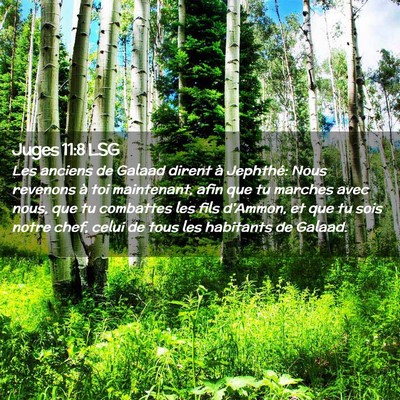 Picture 02 - Juges 11:8 LSG - Les anciens de Galaad dirent à Jephthé: Nous - Bible Verse Picture
