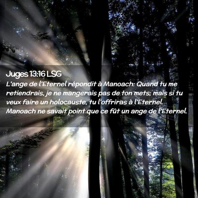 Picture 02 - Juges 13:16 LSG - L'ange de l'Eternel répondit à Manoach: Quand - Bible Verse Picture