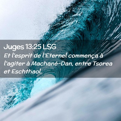 Picture 02 - Juges 13:25 LSG - Et l'esprit de l'Eternel commença à l'agiter à - Bible Verse Picture