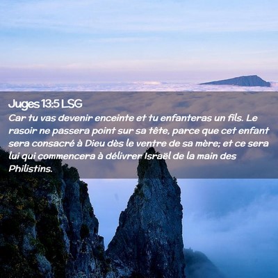 Picture 02 - Juges 13:5 LSG - Car tu vas devenir enceinte et tu enfanteras un - Bible Verse Picture