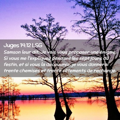 Picture 02 - Juges 14:12 LSG - Samson leur dit: Je vais vous proposer une - Bible Verse Picture