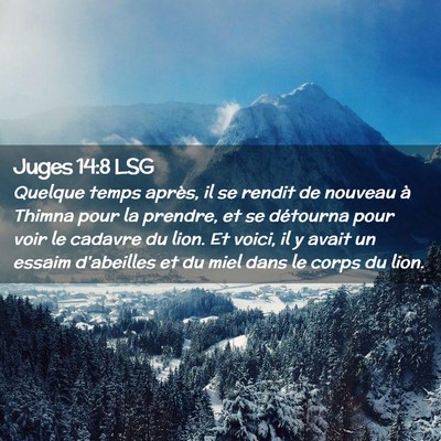 Picture 02 - Juges 14:8 LSG - Quelque temps après, il se rendit de nouveau à - Bible Verse Picture