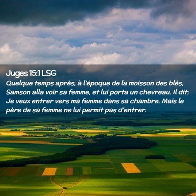 Picture 02 - Juges 15:1 LSG - Quelque temps après, à l'époque de la moisson - Bible Verse Picture