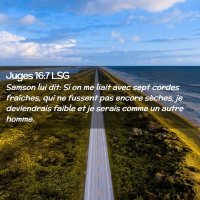 Picture 02 - Juges 16:7 LSG - Samson lui dit: Si on me liait avec sept cordes - Bible Verse Picture