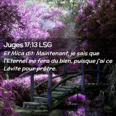 Picture 02 - Juges 17:13 LSG - Et Mica dit: Maintenant, je sais que l'Eternel me - Bible Verse Picture
